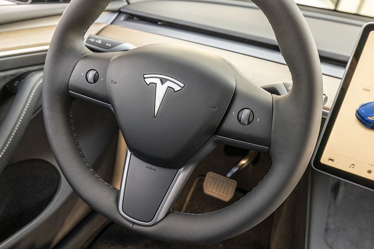 Tesla Model Y rat