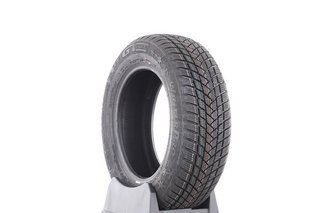 GT Radial