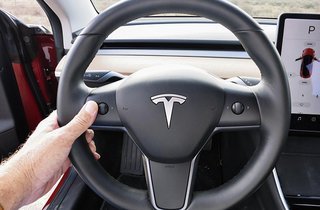 Tesla Model 3 rat