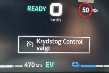 Dacia har været noget sjusket med oversættelsen til dansk. Dette skal f.eks. betyde fartpilot.