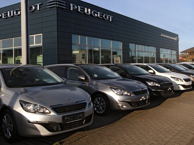 Peugeot 208 topper hitlisten.