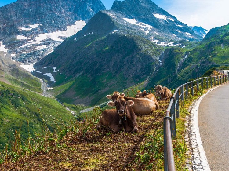 Landskab set fra vej i Schweiz.