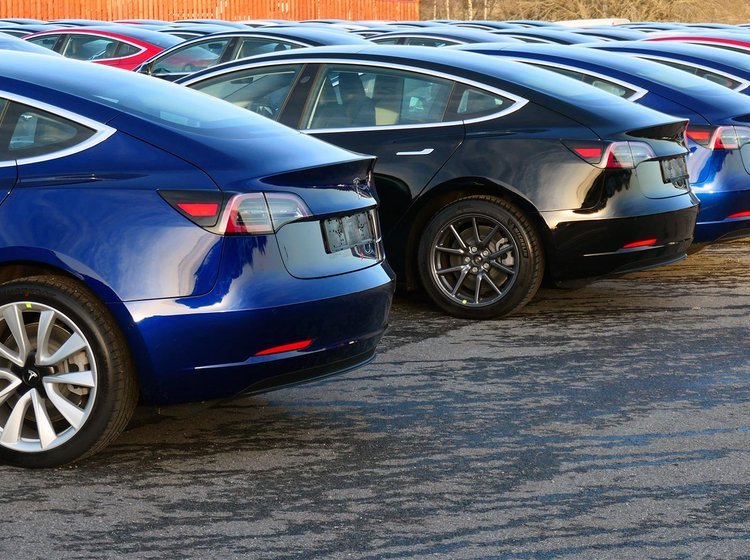 Række af Tesla Model Y set bagfra.