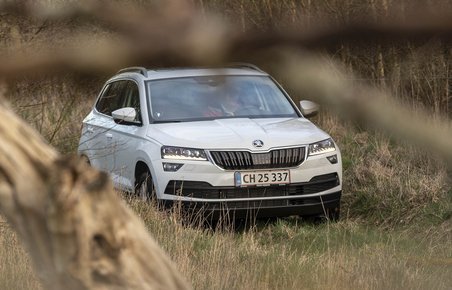 Skoda Karoq set forfra