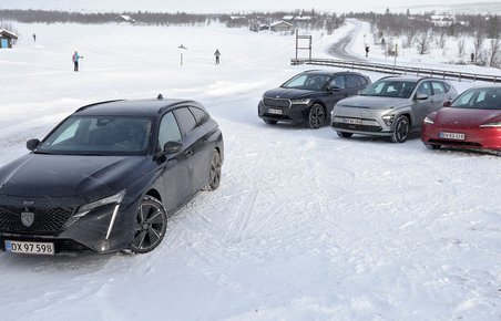 Fire elbiler holder parkeret i snelandskab